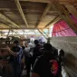 IMG 20260726 WA0055