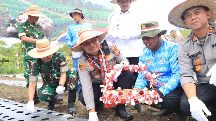 Dukung Swasembada Pangan, Polda Aceh dan Polres Aceh Tengah Tanam Bawang Putih, Salurkan Ratusan Paket Sembako dan Layanan Kesehatan