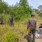 IMG 20260902 WA0154