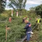 IMG 20260925 131914