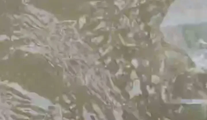 Pos PT THL PantanNangka Tabur Bibit Ikan Di Sungai Jambo Aye